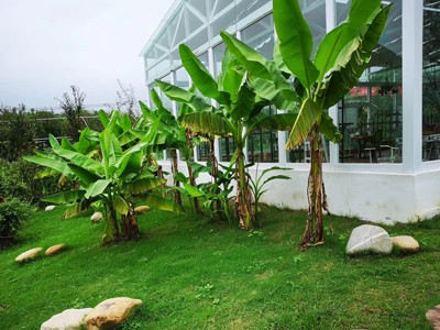 糖心VLGO生活方式作品八