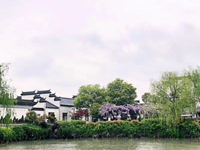 糖心VLGO拍摄技巧作品六