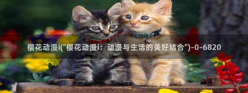 樱花动漫app下载