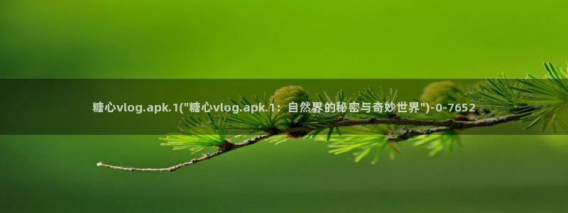 糖心vlog扣扣传媒粉色