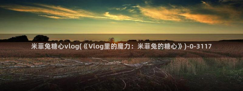 糖心vlog是啥