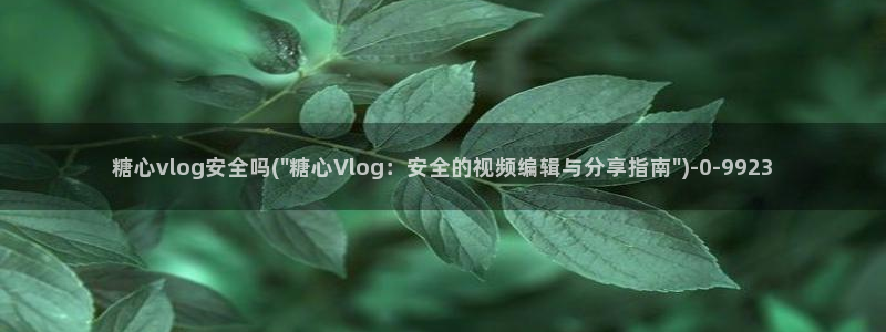 糖心vlog星辰