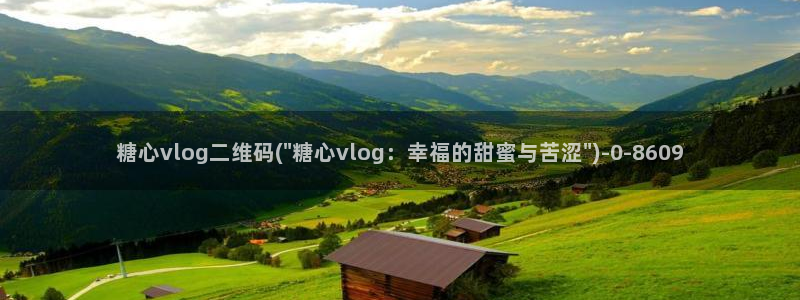糖心vlog视频在线播放