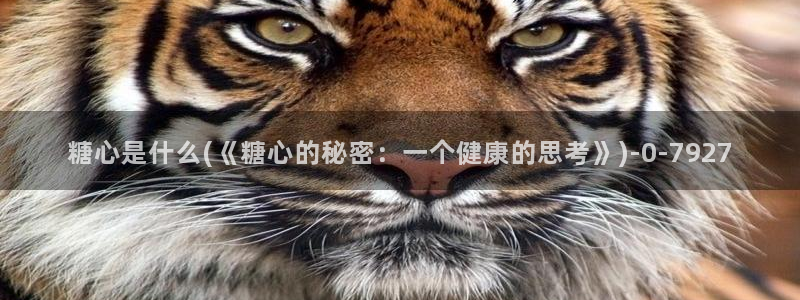 芋圆呀呀糖心vlog唐伯虎