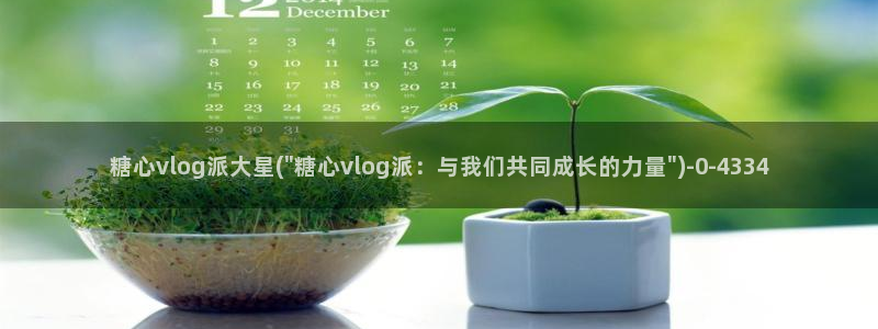 糖心vlog看