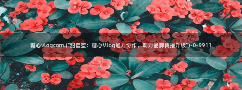 糖心vlog官网版下载