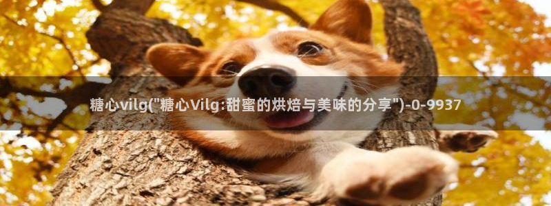 糖心vlog..