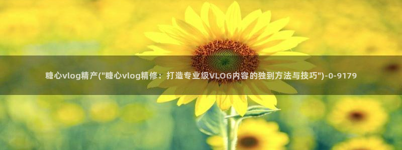 糖心vlog 入口