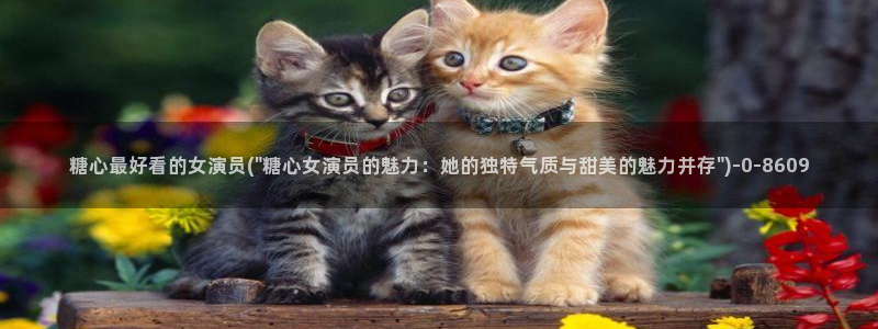 糖心vlog在线观看高清