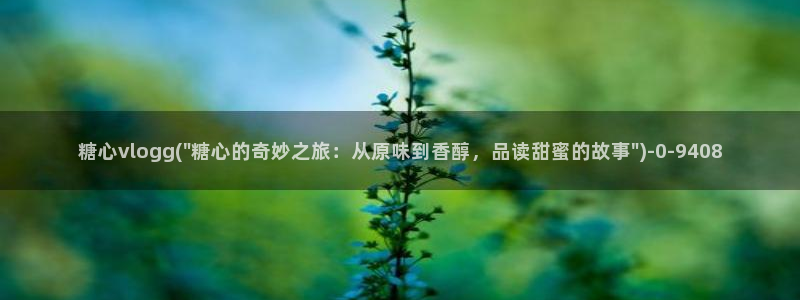 心糖vlog日常