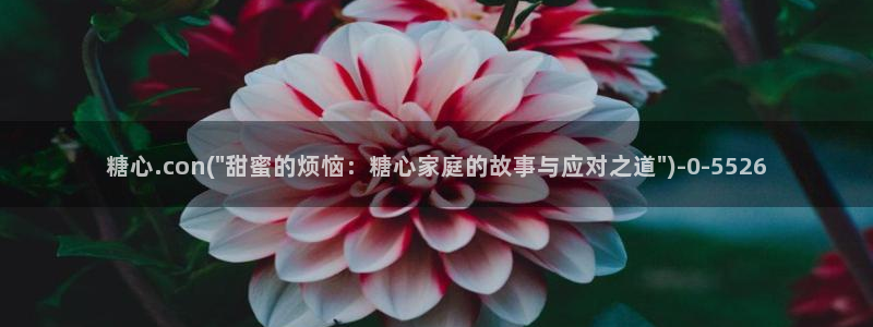 糖心vlog是一个怎么样的app
