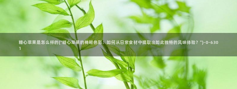 糖心vlogpro